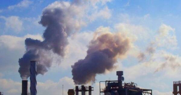 La Nación / Diputados sancionan proyecto de Ley de Créditos del Carbono