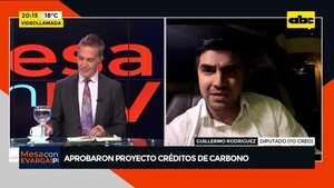 Video: Aprobaron proyecto de ley ‘‘De Créditos de Carbono’' - Mesa de Periodistas - ABC Color