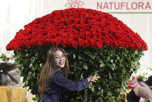 El colorido universo de las flores colombianas se exhibe en feria internacional en Bogotá - MarketData