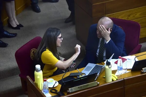 Para contratados y plan anti dengue, dan G. 13.139 millones en ampliación a Senepa - Política - ABC Color