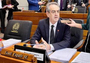 Suspenden al diputado Yamil Esgaib por 30 días, tras sus dichos en plena sesión - trece