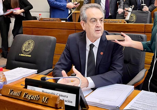 Suspenden al diputado Yamil Esgaib por 30 días, tras sus dichos en plena sesión - trece