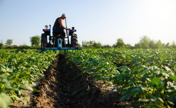 Apuntan a contribuir en la producción sostenible de la agroindustria