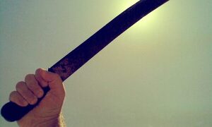 Joven macheteó a la niñera de su hijo