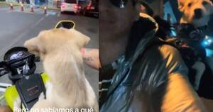 La Nación / Mascota paraguaya cautiva TikTok por su habilidad de viajar en motocicleta