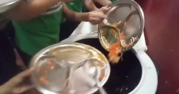 Alumnos tiran su “poroto-fideo” porque no es rico