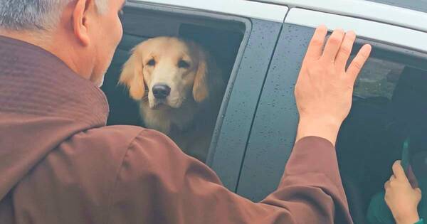 La Nación / Tradición: capuchinos bendijeron a mascotas