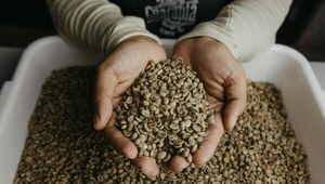 Crece el hábito de tomar café en nuestro país | 1000 Noticias