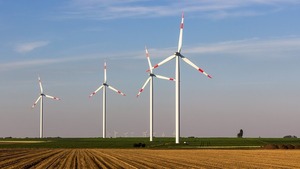 WWF pide a la Uni贸n Europea que apueste por la energ铆a e贸lica para llegar al 100% de renovables en 2040 - Revista PLUS