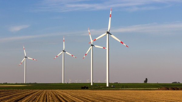 WWF pide a la Uni贸n Europea que apueste por la energ铆a e贸lica para llegar al 100% de renovables en 2040 - Revista PLUS