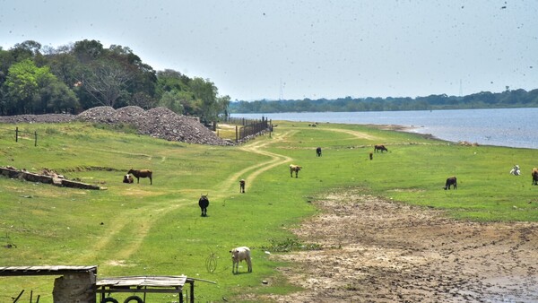 “Entramos accidentalmente ahí, es un lugar de pesca”, dice ocupante de tierras en Remansito