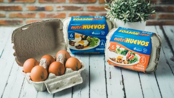 Nutrihuevos empolla con éxito: prevé comercializar 300 millones de huevos (32% de market share)