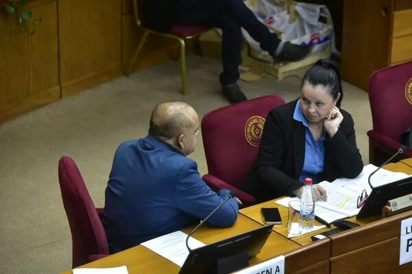 En la Cámara de Senadores citan a autoridades sobre expropiación - Política - ABC Color