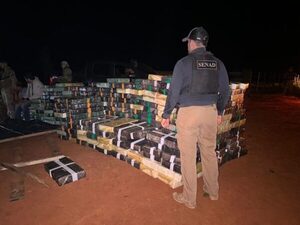 Senad incautó más de nueve toneladas de marihuana y detuvo a tres personas en Caaguazú