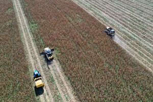 Niveles de precipitaciones seguirían por debajo de lo normal en el área agrícola