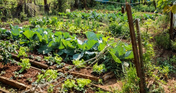 Pequeños productores como centro del debate global sobre el futuro de la agricultura