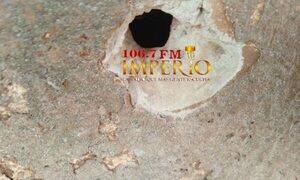 Perrito murió tras tiroteo a una vivienda