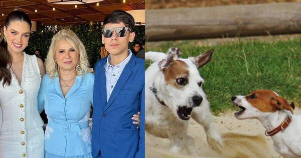 La Nación / Ludy Ferreira pidió atar a perros bravos tras pérdida de su mascota