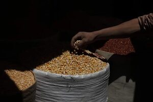 Precios mundiales de alimentos se mantienen estables, según FAO - Mundo - ABC Color