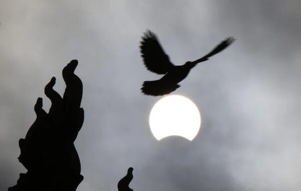 Qué es un eclipse solar y cómo será el evento del próximo 14 de octubre - Ciencia - ABC Color