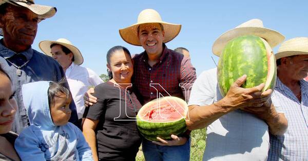 La Nación / Peña destaca que el 100 % del suelo de Paraguay es cultivable, pero necesita cuidados