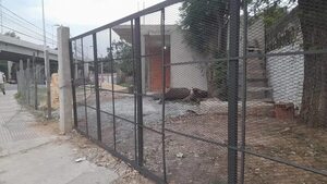 “Nenecho” no muestra interés en intervenir construcción de salones en terreno que debía ser parque - Nacionales - ABC Color