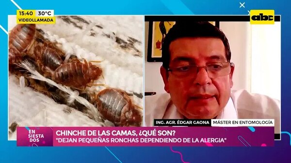 Video: chinche de las camas, ¿Qué son?  - Ensiestados - ABC Color