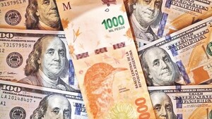 EL BM ADVIERTE SOBRE LA DOLARIZACIÓN QUE PROPONE JAVIER MILEI