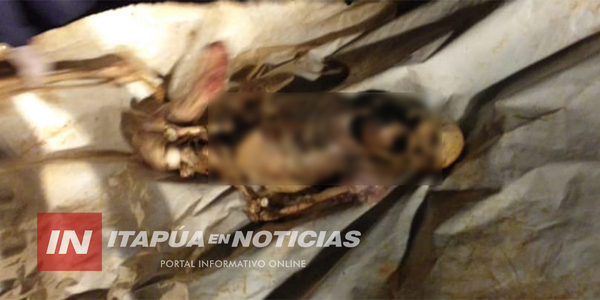 HALLARON UN CADÁVER EN ARROYO DE BELLA VISTA - Itapúa Noticias