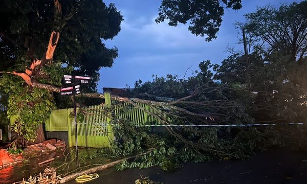 Temporal provoca daños en Hernandarias