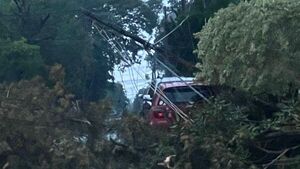 Temporal deja a su paso árboles caídos y cables sueltos en Hernandarias