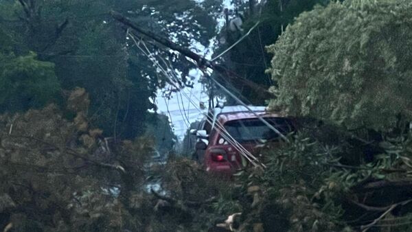 Temporal deja a su paso árboles caídos y cables sueltos en Hernandarias