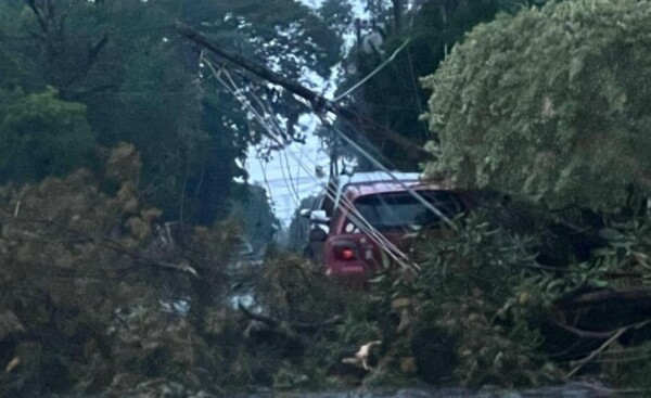 Temporal de esta madrugada causó destrozos en Hernandarias