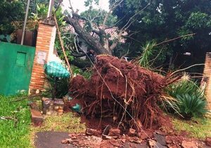 Temporal ocasionó destrozos en Hernandarias y San Alberto - ABC en el Este - ABC Color