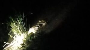 Misterioso hallazgo: tratan de identificar a cadáver encontrado en arroyo Mbororé - Policiales - ABC Color