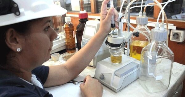 La Nación / Celebran anuncio de suba de mezcla de biocombustibles