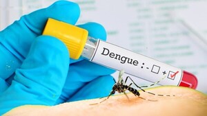 Paraguay se encuentra a las puertas de una nueva epidemia de dengue - El Independiente
