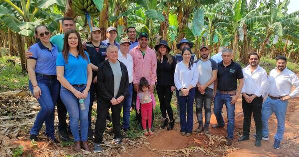 La Nación / Productor caaguaceño de banana duplicó cosecha con proyecto de inclusión financiera