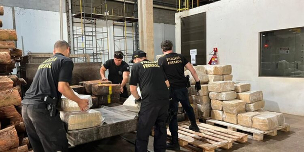 Se eleva a 51 toneladas la cantidad de drogas destruidas por la Policía Federal - La Clave