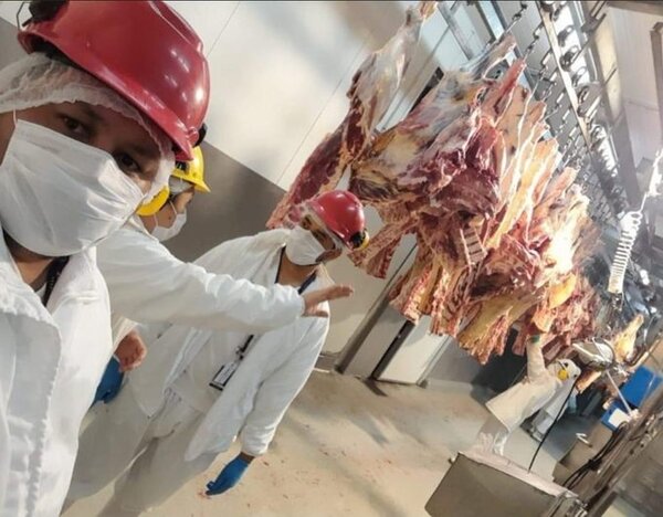 Falta de mercado disminuye operación de frigoríficos, afirman