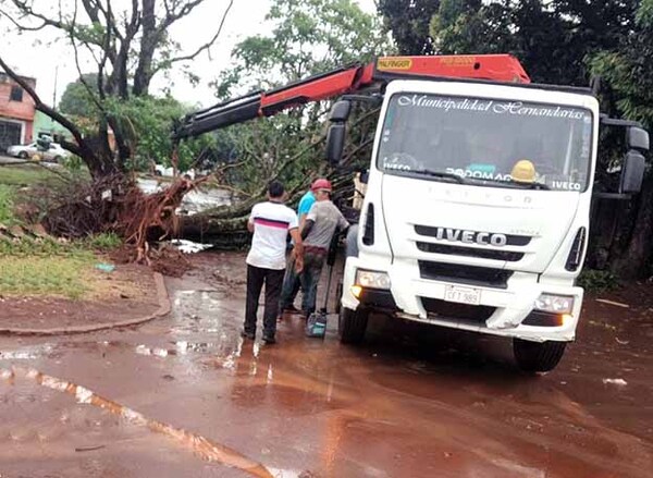 Comuna hernandariense realiza limpieza de principales arterias de la ciudad afectadas por tormenta | DIARIO PRIMERA PLANA