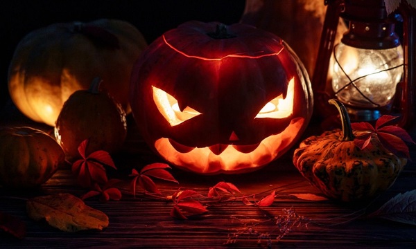 El origen de Halloween | Telefuturo