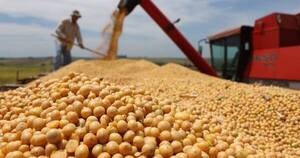 La Nación / Productores regionales solicitan a la UE renovar el uso de glifosato