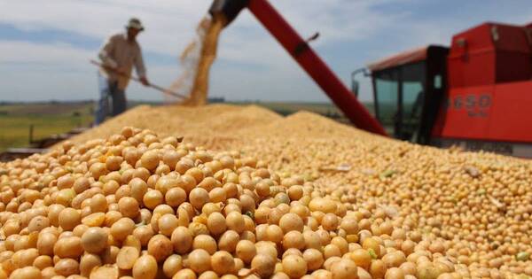 La Nación / Productores regionales solicitan a la UE renovar el uso de glifosato