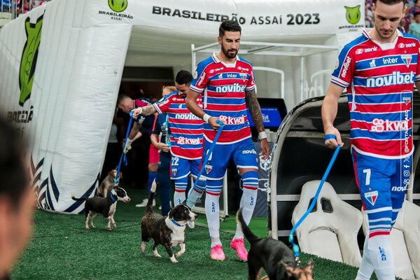 Versus / ¡Qué tierno! Fortaleza saltó acompañado de perritos al campo de juego