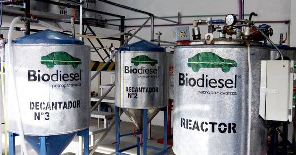 La Nación / Biocombustible: “Paraguay se posiciona en la región con un número interesante”, afirman