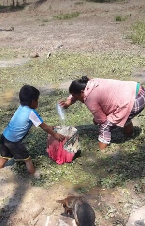 Chaco: aguda sequía obliga a muchos pobladores a consumir agua de tajamares - Noticias del Chaco - ABC Color