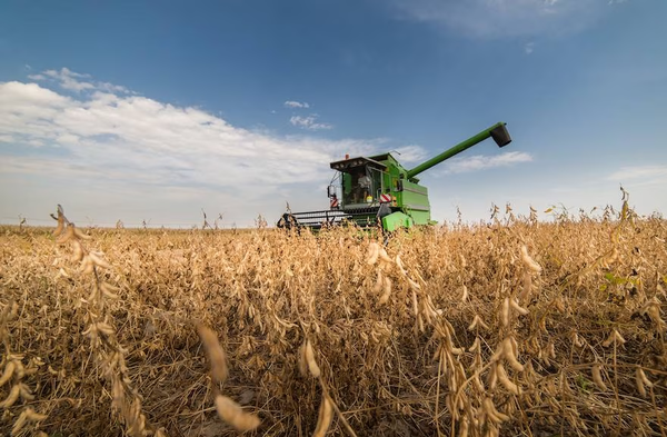 Paraguay lidera proyección de crecimiento regional, según último informe del FMI