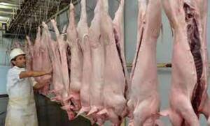 Anuncian instalación de frigorífico porcino en el departamento de Canindeyú