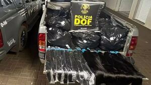 Decomisan casi 300 kilos de cabello